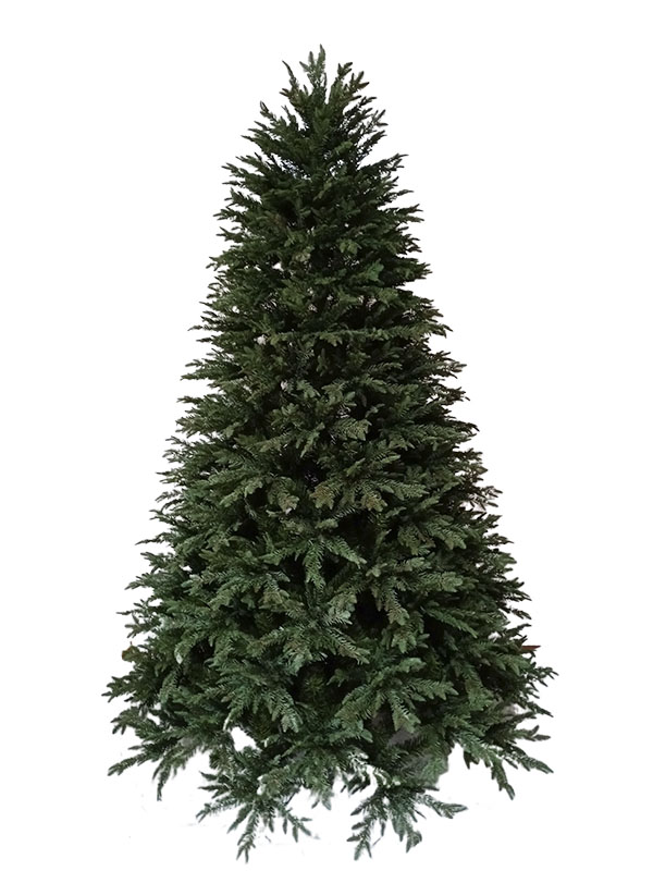 Stort juletræ-PE21002