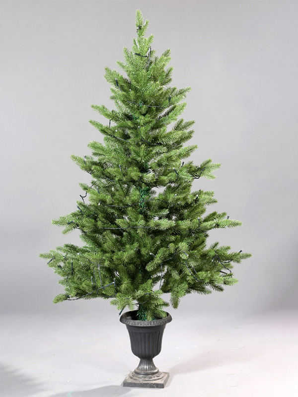 Juletræ i potte 9A3A8774